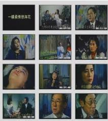 一縷柔情欲?；? class=