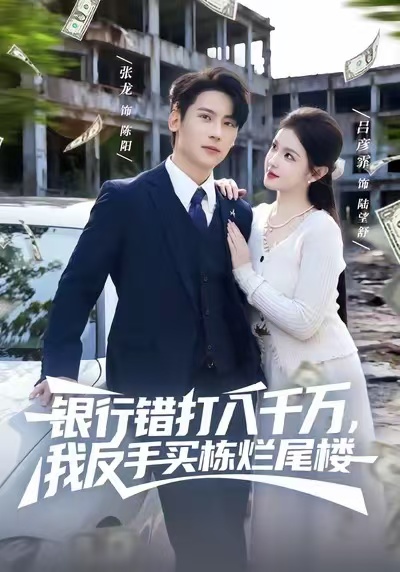 銀行錯打八千萬，我反手買棟爛尾樓(全集)