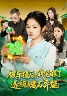 被車撞后，我覺醒了透視賭石異能了(全集)